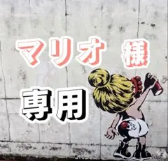 マリオ様 専用