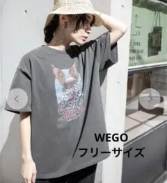 ピグメントBIGTシャツ フリーサイズ レトロ