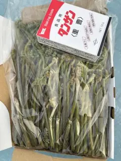 Ｒ8年4月採取　生わらび専用箱込み１キロ 超 鹿児島県産