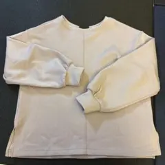 ピンクトレーナー