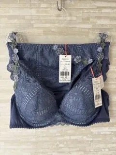 B75L」トリンプ 夢みるブラ DeepV フレーバーウォーター ブラ&ショーツ