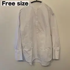 【やや汚れあり】グリーンレーベルリラクシング プルオーバーバンドカラーシャツ