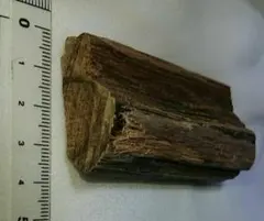 香木 沈香 伽羅 聞香◎品名超希少カンボジア産黄熟香 油脂濃厚 香木 沈香 伽羅 聞香◎品名超希少カンボジア産黄熟香 油脂濃厚