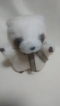 2026年最新】TAKENOKO アライグマ ぬいぐるみの人気アイテム - メルカリ