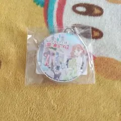 【特典のみ】【ソフト無し】アクキー　マジカルクラフト 猫と魔法のドレス