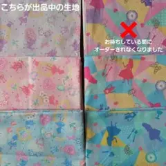 riko様専用オーダーページ★ランチョンマット【３枚セット】★アリス☆35×45