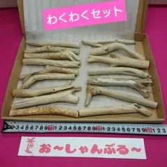 流木セットno.405