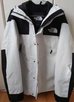 THE NORTH FACE ノースフェイス ジャケット メンズ GTX