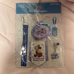 TDS25周年 バケパ特典 ジュビリーバッジ 非売品 - メルカリ