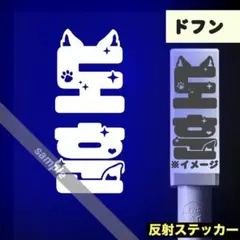 TWS ペンライト デコキット ショルダーバック Qoo10] Pledis Entertainment 【公式】 TWS Official Li : KPOP