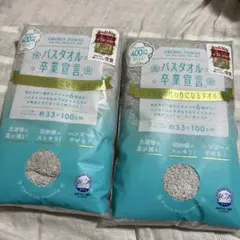 バスタオル卒業宣言33×100センチ2枚パールグレーのサムネイル