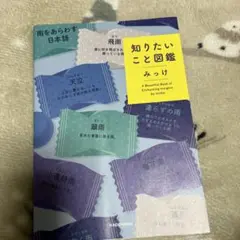 misamisa05様 リクエスト 2点 まとめ商品