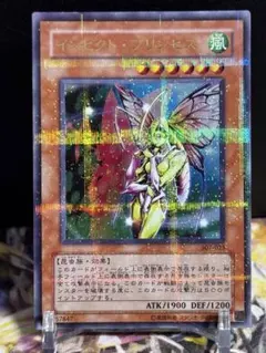 2025年最新】インセクトプリンセスの人気アイテム - メルカリ