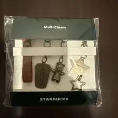 STARBUCKS マイカスタマイズジャーニー2025　マルチチャームセットのみ