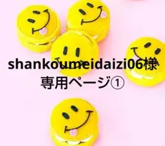 shankoumeidaizi06様 リクエスト 10点 まとめ商品