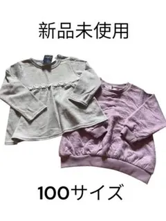 【タグ付き未使用】トレーナー2枚セット 100サイズ グレー 紫