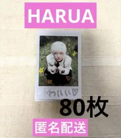 &TEAM BacktoLife ハルア インスタントフォトカード　80枚
