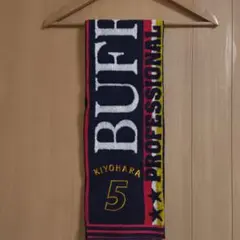 Item thumbnail for item 02660508-2f7e-40da-97f5-fcba781abd94