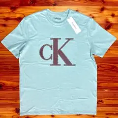 カルバンクライン CKロゴTシャツ グリーンMサイズ 海外限定 クルーネック