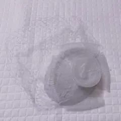 Item thumbnail for item 6c95dc93-4925-448a-a7f0-304e19480863