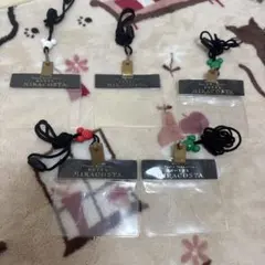 ミラコスタ　チケットフォルダ