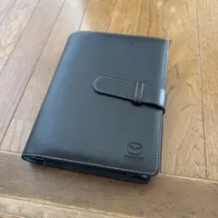 Item thumbnail for item af02af6b-0639-4b65-9ab6-8c79cd148329