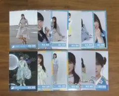日向坂46 森本茉莉 生写真 12枚セット