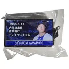 ベイスターズ スポーツ選手