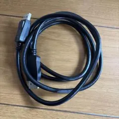 ディスプレイポートケーブル DisplayPortケーブル1m