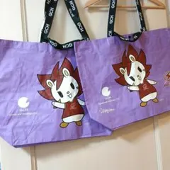 川崎ブレイブサンダース　　ロウル　ビニールバック2枚