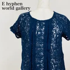 E hyphen world gallery 半袖ブラウス 総レース 0763B