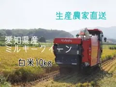 愛知県産 ミルキークイーン 白米 10kg 生産農家直送のサムネイル