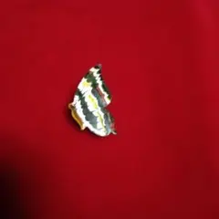 Item thumbnail for item 6705bf6a-5292-4dad-a5a2-2fb6ba553022