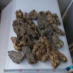 カリマンタン島産 香料樹木材 1kg - メルカリ