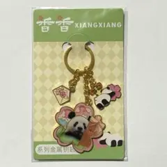 非売品おまけ★シャンシャンシンシンHUGキーチェーン新品未使用 2025年最新】シャンシャンの人気アイテム - メルカリ