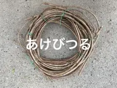2026年最新】アケビ蔓の人気アイテム - メルカリ