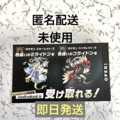 色違いコライドン　色違いミライドン