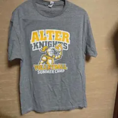 JERZEES ALTER KNIGHTS Tシャツ グレー M