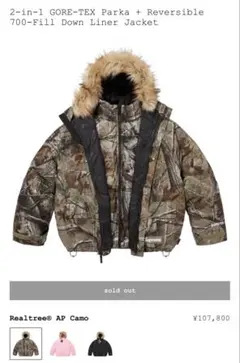 (*)様 GORETEX Reversible Polartec Lined J Spring/Summer 2022 Preview – Supreme