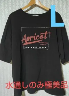 soulberry 半袖Tシャツ 黒　Lサイズのサムネイル