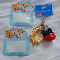 14日まで★ディズニー　チケットホルダー　キーチェーンストラップ