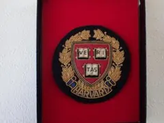 未使用 ヴィンテージ ゴルフブレザー 金モール 刺繍エンブレム その1