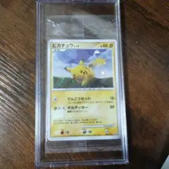 【PSA10】ピカチュウ 095/DP-P バトルロードスプリング プロモ 状態A】ピカチュウ PROMO (095/DP-P) [DPP] の通販・買取価格