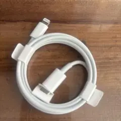 【新品未使用】純正Lightningケーブル タイプC