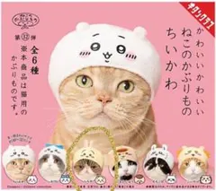 かわいいかわいいねこのかぶりもの　ちいかわ　うさぎ