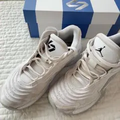 Jordan Brand バスケットボールシューズ ホワイト　26センチのサムネイル
