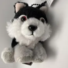 モンメン様 リクエスト 2点 まとめ商品