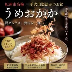夏バテ防止はこれ！　混ぜるだけ簡単梅おかか　紀州南高梅　かつお節　送料無料
