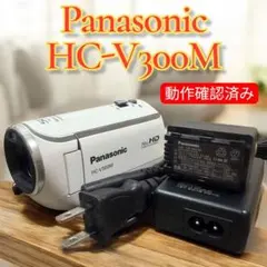 Panasonic HC-V300M ビデオカメラ 動作確認済 バッテリー2本 概要 デジタルハイビジョンビデオカメラ HC-V300M | デジタル