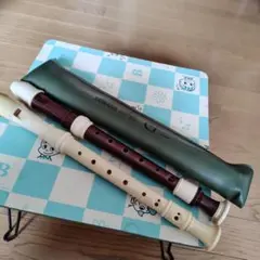 2025年最新】リコーダーケースヤマハの人気アイテム - メルカリ